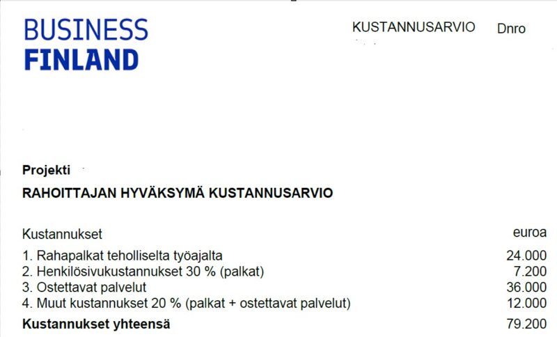 Esimerkki Business Finlandin hyväksymästä kustannusarviosta